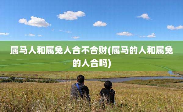 属马人和属兔人合不合财(属马的人和属兔的人合吗)