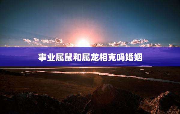 事业属鼠和属龙相克吗婚姻
