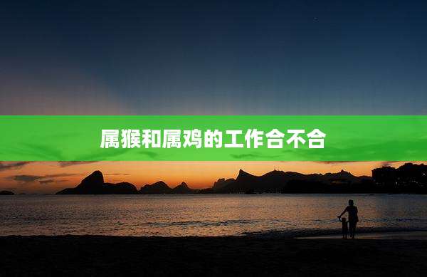 属猴和属鸡的工作合不合