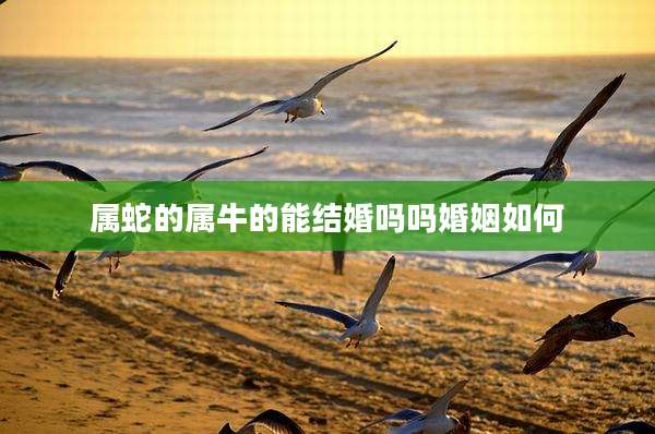 属蛇的属牛的能结婚吗吗婚姻如何