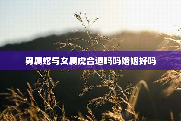男属蛇与女属虎合适吗吗婚姻好吗