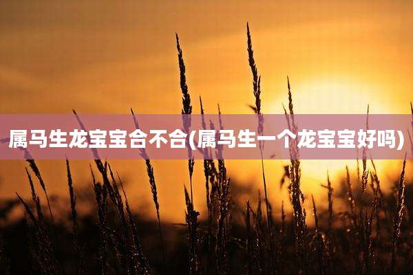 属马生龙宝宝合不合(属马生一个龙宝宝好吗)