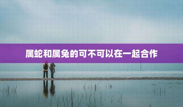 属蛇和属兔的可不可以在一起合作