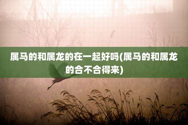 属马的和属龙的在一起好吗(属马的和属龙的合不合得来)