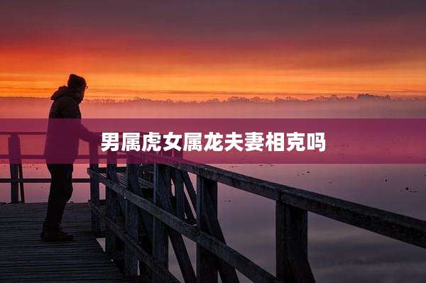 男属虎女属龙夫妻相克吗