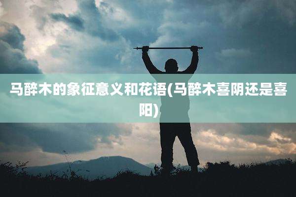 马醉木的象征意义和花语(马醉木喜阴还是喜阳)