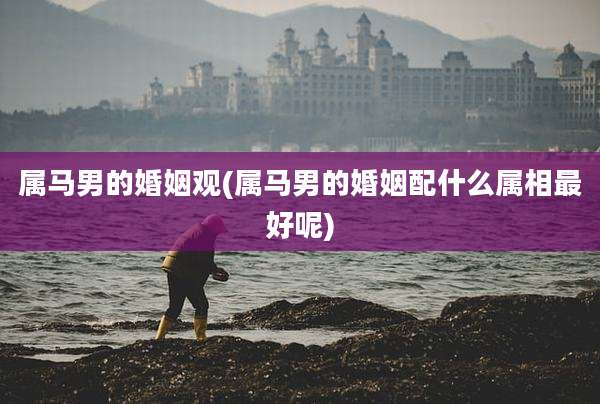 属马男的婚姻观(属马男的婚姻配什么属相最好呢)