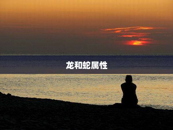 龙和蛇属性