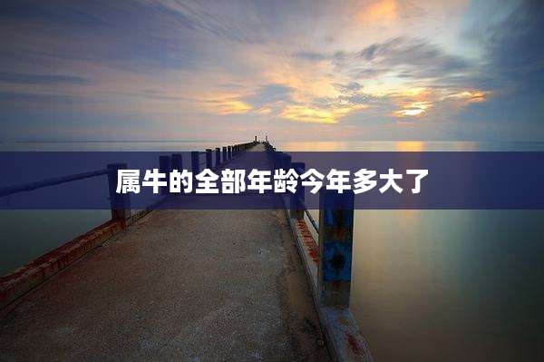 属牛的全部年龄今年多大了