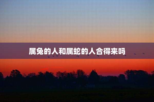 属兔的人和属蛇的人合得来吗