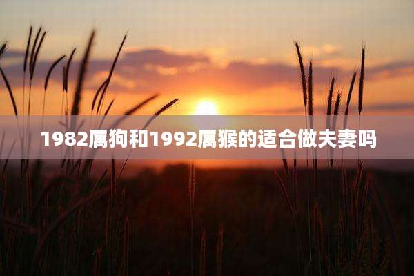 1982属狗和1992属猴的适合做夫妻吗