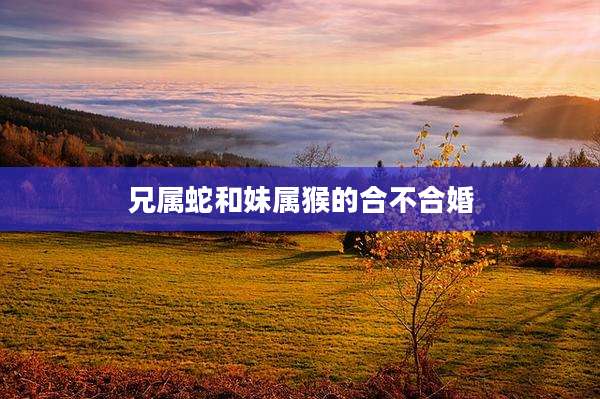 兄属蛇和妹属猴的合不合婚