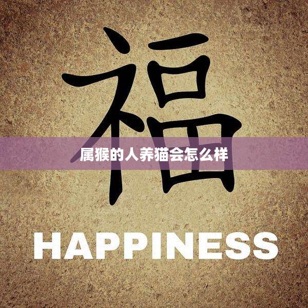 属猴的人养猫会怎么样