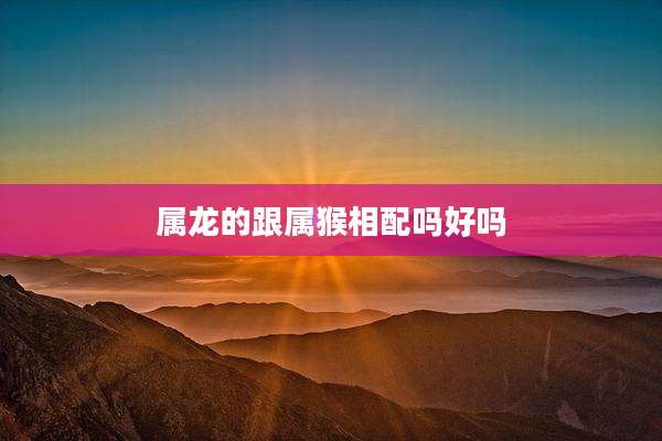 属龙的跟属猴相配吗好吗
