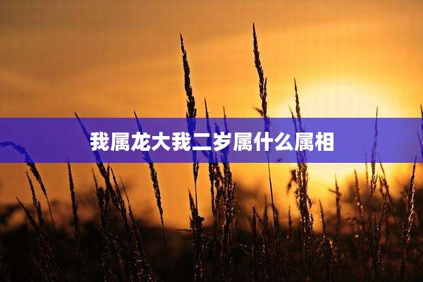 我属龙大我二岁属什么属相