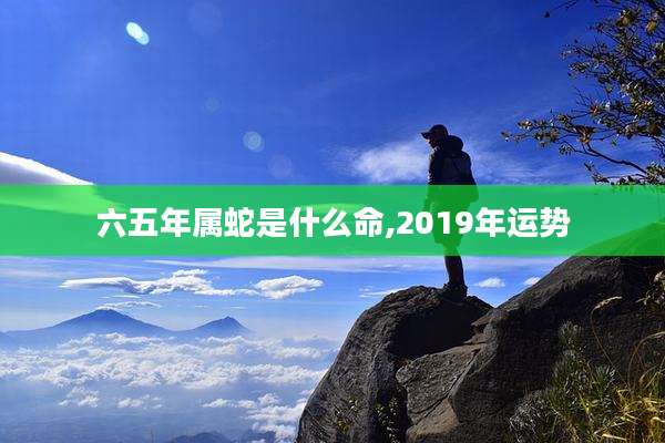六五年属蛇是什么命,2019年运势