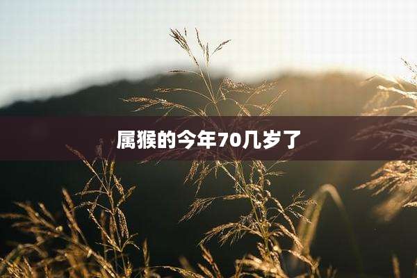 属猴的今年70几岁了