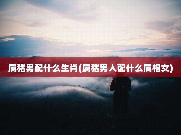 属猪男配什么生肖(属猪男人配什么属相女)