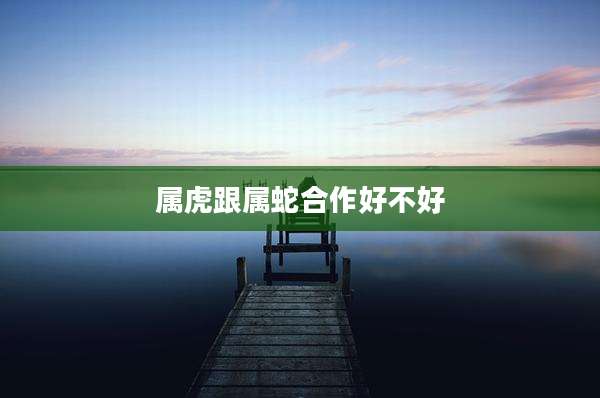 属虎跟属蛇合作好不好