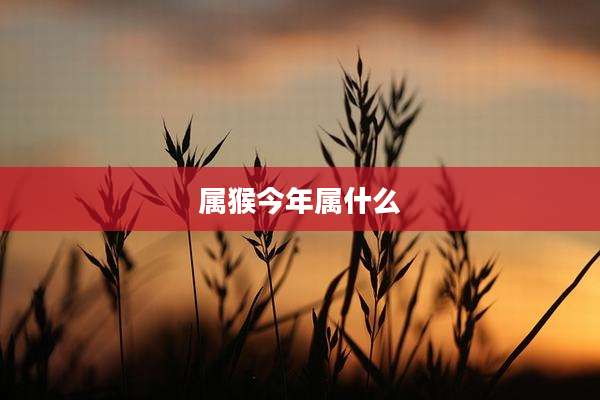 属猴今年属什么