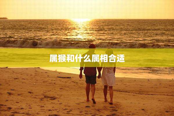 属猴和什么属相合适