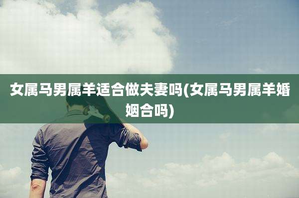 女属马男属羊适合做夫妻吗(女属马男属羊婚姻合吗)