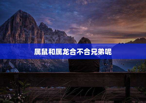 属鼠和属龙合不合兄弟呢