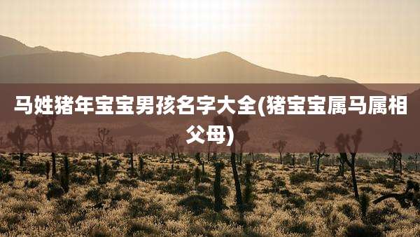 马姓猪年宝宝男孩名字大全(猪宝宝属马属相父母)