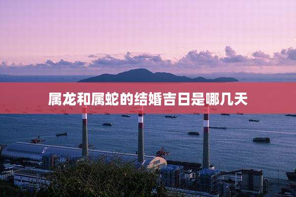 属龙和属蛇的结婚吉日是哪几天