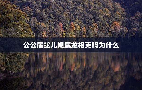公公属蛇儿媳属龙相克吗为什么