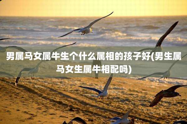 男属马女属牛生个什么属相的孩子好(男生属马女生属牛相配吗)