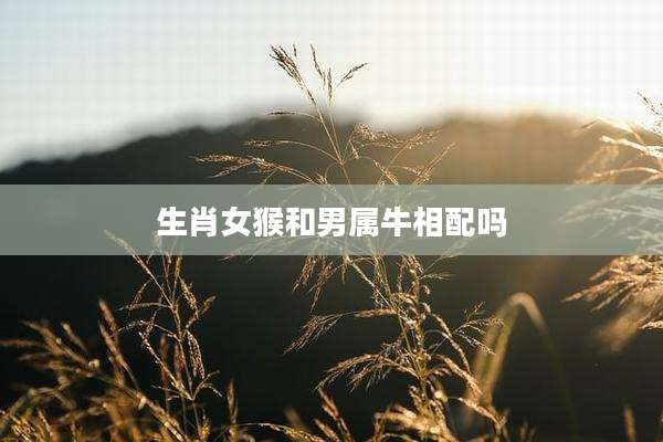 生肖女猴和男属牛相配吗