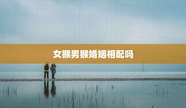 女猴男猴婚姻相配吗