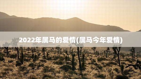 2022年属马的爱情(属马今年爱情)