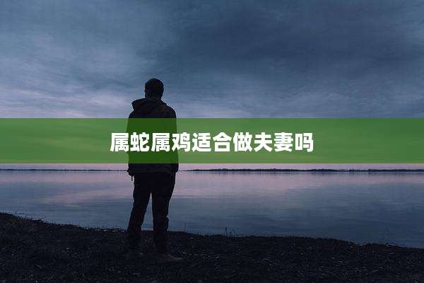 属蛇属鸡适合做夫妻吗