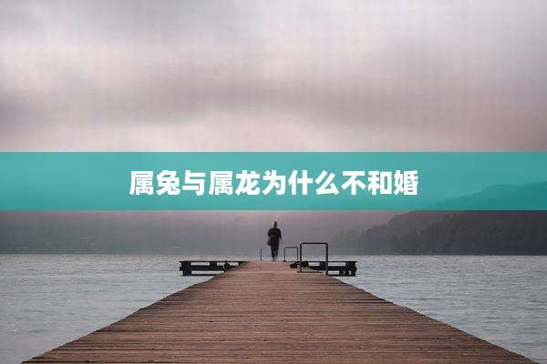 属兔与属龙为什么不和婚