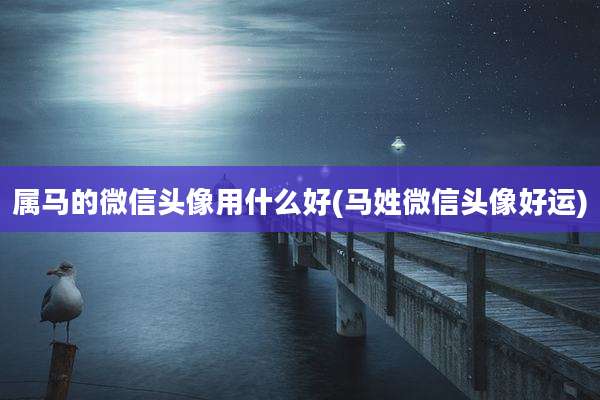 属马的微信头像用什么好(马姓微信头像好运)