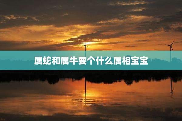 属蛇和属牛要个什么属相宝宝