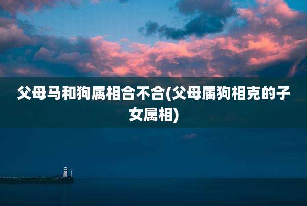 父母马和狗属相合不合(父母属狗相克的子女属相)
