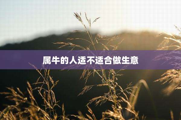 属牛的人适不适合做生意