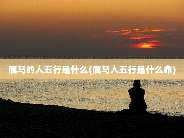 属马的人五行是什么(属马人五行是什么命)