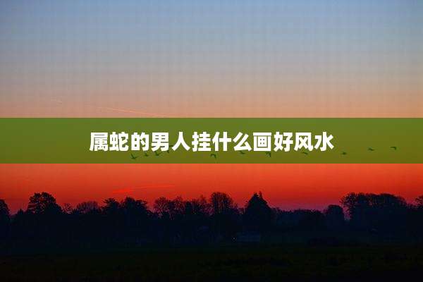 属蛇的男人挂什么画好风水