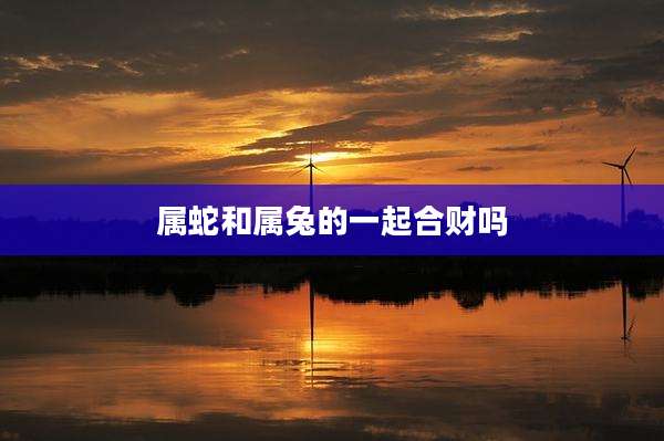 属蛇和属兔的一起合财吗