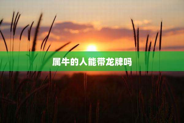 属牛的人能带龙牌吗