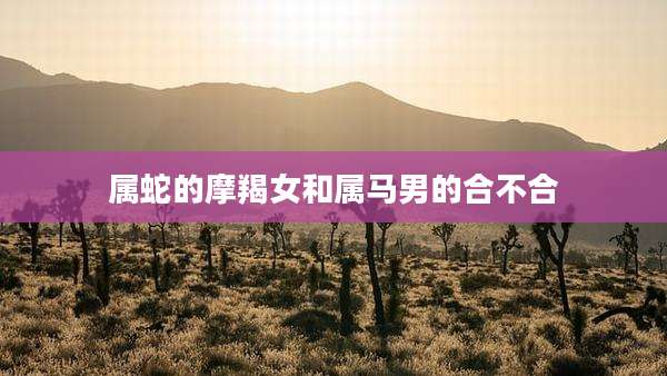 属蛇的摩羯女和属马男的合不合