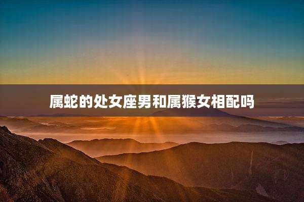 属蛇的处女座男和属猴女相配吗