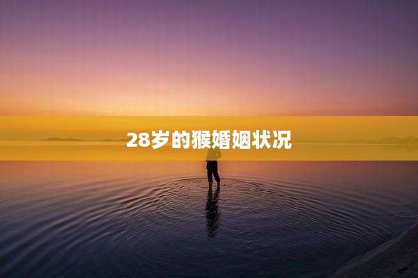 28岁的猴婚姻状况