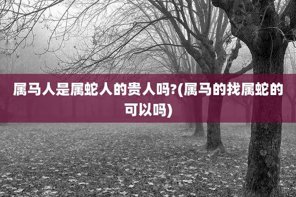 属马人是属蛇人的贵人吗?(属马的找属蛇的可以吗)