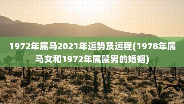 1972年属马2021年运势及运程(1978年属马女和1972年属鼠男的婚姻)