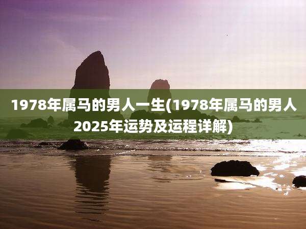 1978年属马的男人一生(1978年属马的男人2025年运势及运程详解)